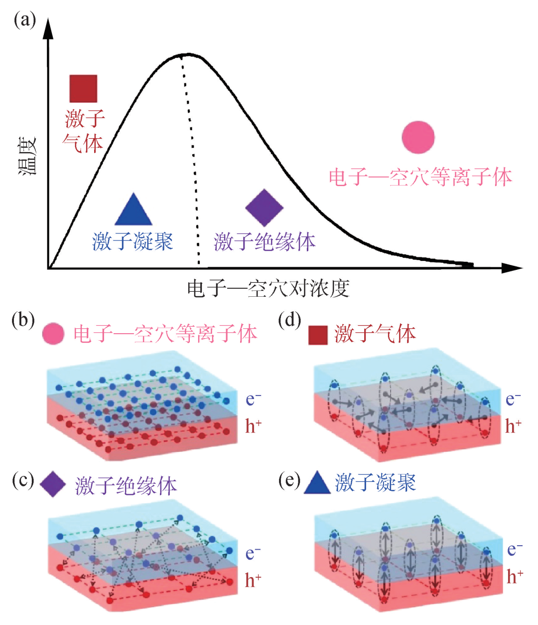 关键词激子绝缘体,窄能隙半导体,二维材料,激子凝聚,自旋超流